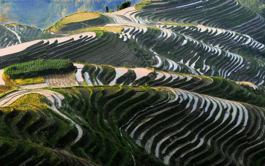 659549 (a): :2560x1600